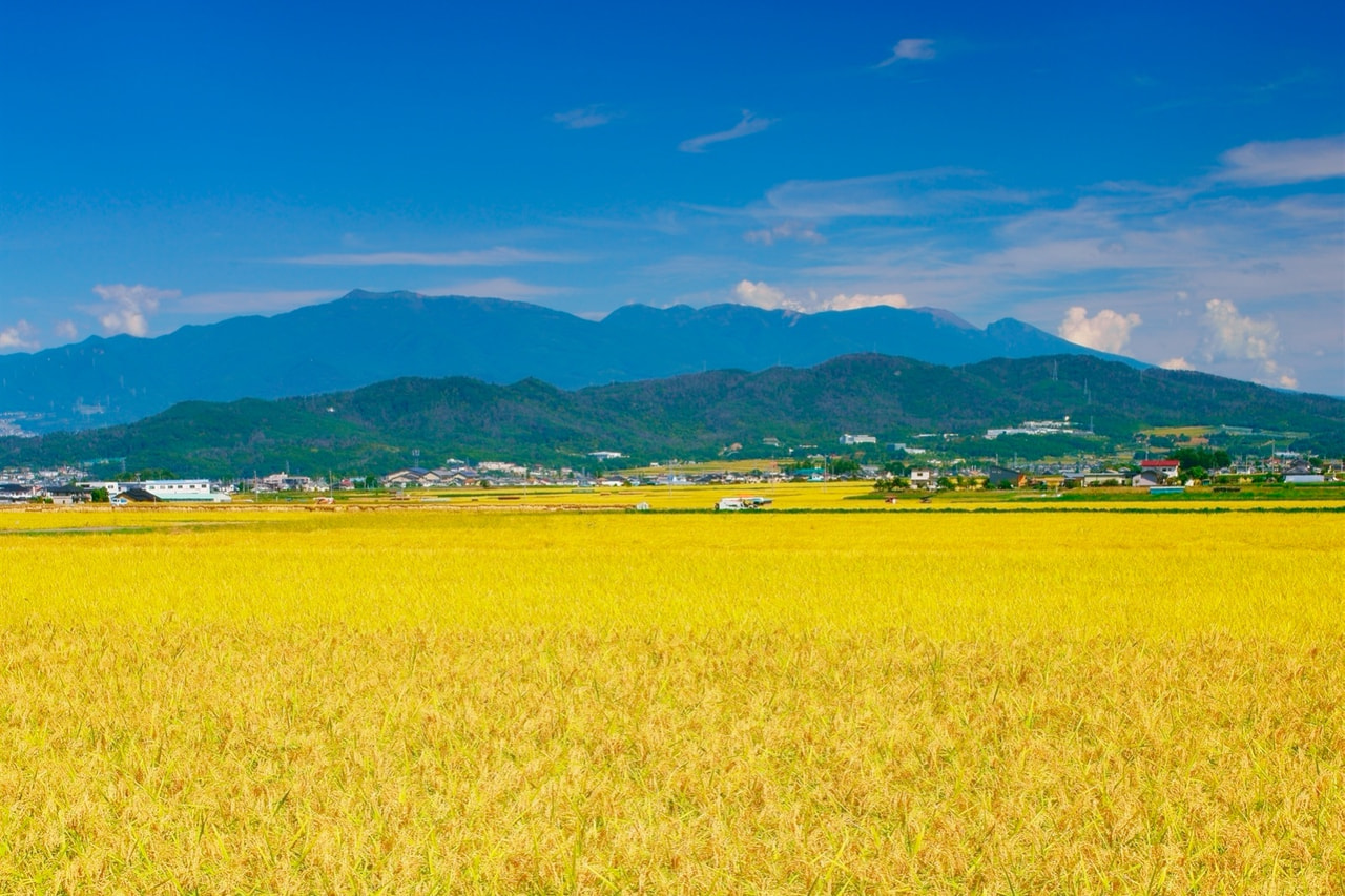 長野県の日本酒をとりまく風土と歴史