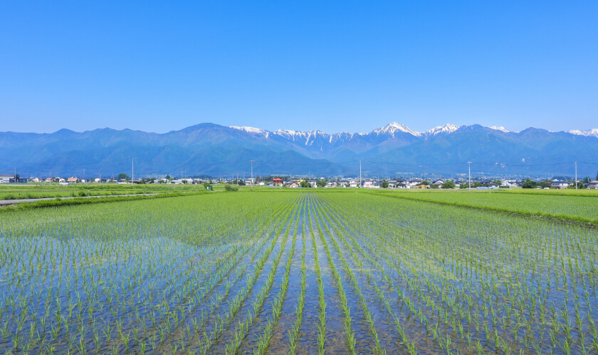 北安曇エリア