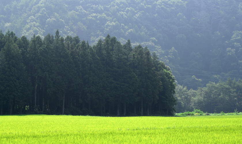 伊那エリア