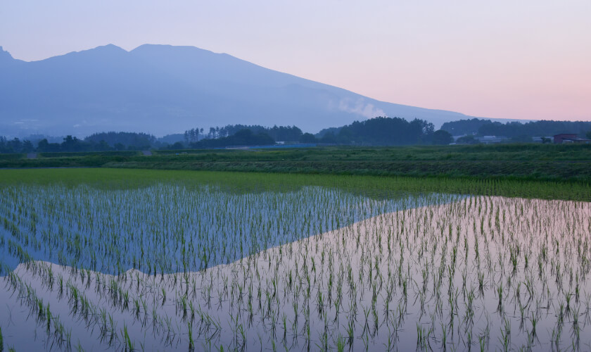 佐久エリア